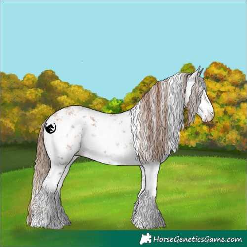 Horse Color:White Spotted Brown Pearl Sabino Varnish