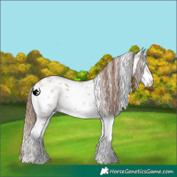 Horse Color:White Spotted Brown Pearl Sabino Varnish 