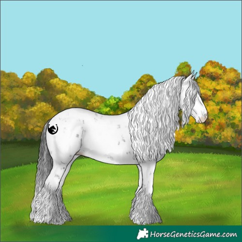 Horse Color:Black Sabino