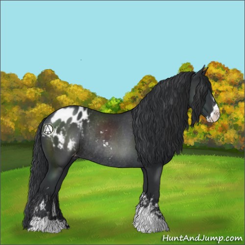 Horse Color:Black Sabino Blanket Rabicano 