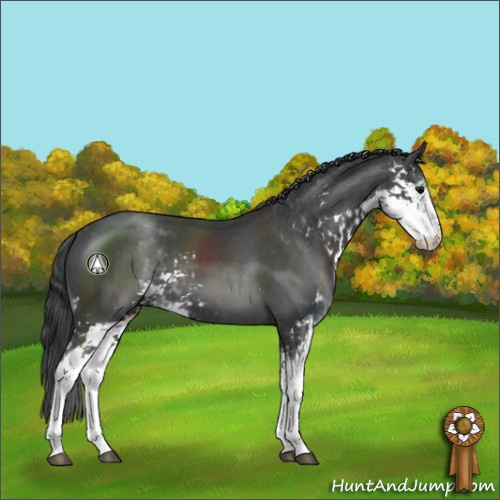Horse Color:Black Sabino 