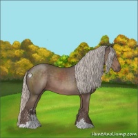 Horse Color:Silver Black Sabino 