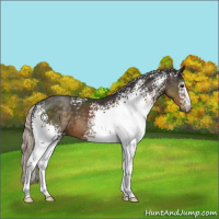 Horse Color:White Spotted Silver Smoky Black 