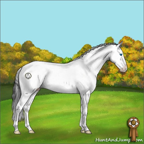 Horse Color:White Spotted Black Splash Tobiano Appaloosa Rabicano 