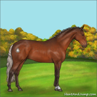 Horse Color:Silver Brown 