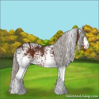 Horse Color:White Spotted Silver Brown 