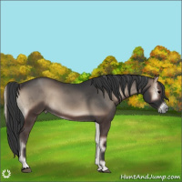Horse Color:Void Blue Onyx
