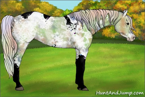 Horse Color:Nacre Watercolor Silver Black Ice Sabino Tobiano 