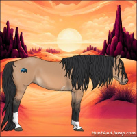 Horse Color:Bay Dun Tobiano 