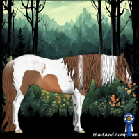 Horse Color:Chestnut Tobiano 