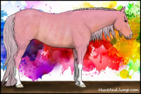 Horse Color:Watercolor Silver Black Rabicano