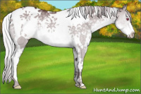 Horse Color:White Spotted Chocolate Silver Smoky Grullo Chinchilla Tobiano 