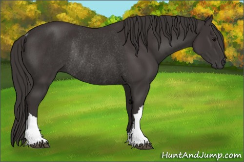 Horse Color:Smoky Black Rabicano