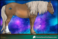Horse Color:Chocolate Palomino 