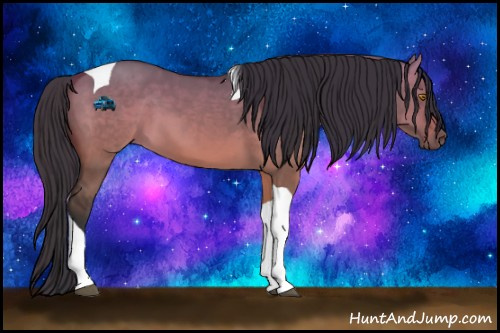 Horse Color:Bay Dun Tobiano 