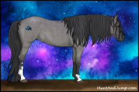 Horse Color:Grullo Roan Sabino 