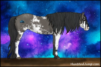 Horse Color:Grullo Sabino 