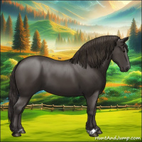 Horse Color:Smoky Black 