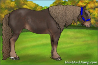 Horse Color:Liver Chestnut Rabicano 