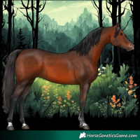 Horse Color:Brown Sabino