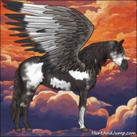 Horse Color:Smoky Black  and Smoky Black Frame 