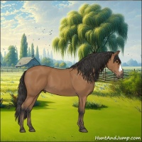 Horse Color:Bay 