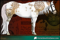 Horse Color:Silver Bay Sabino Splash Tobiano 