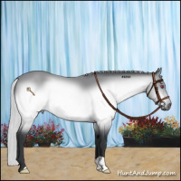 Horse Color:Silver Bay Chinchilla