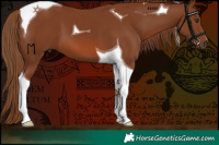 Horse Color:Chestnut Tobiano 