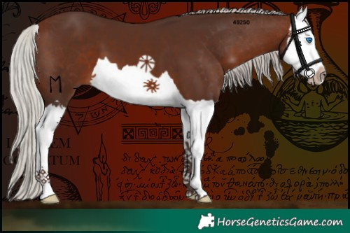 Horse Color:Silver Bay Splash