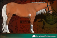 Horse Color:Silver Bay 