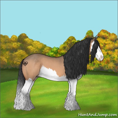 Horse Color:Brown Dun Splash 