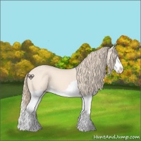 Horse Color:Perlino Splash 