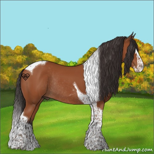 Horse Color:Bay Splash Tobiano Rabicano