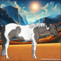 Horse Color:Grullo Tobiano Rabicano