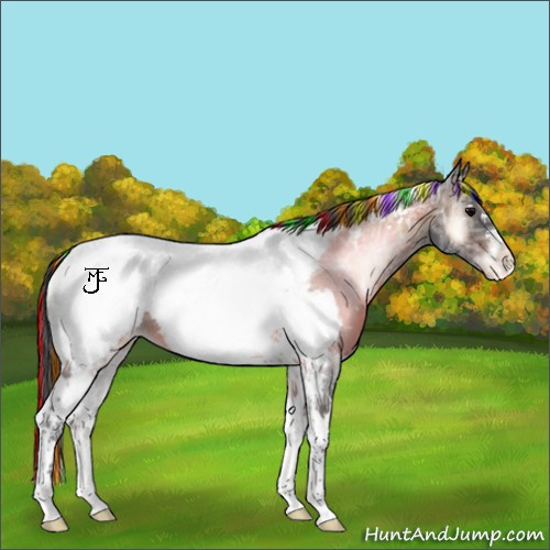 Horse Color:Painted Brown Ice Onyx Tobiano Appaloosa 