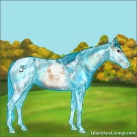 Horse Color:Thunderstruck Bay Ice Onyx Tobiano Appaloosa