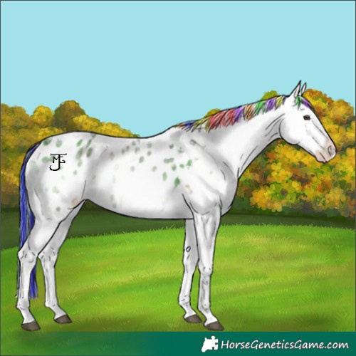 Horse Color:Painted Liver Red Onyx Ice Tobiano Appaloosa 