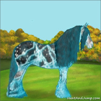 Horse Color:Void Thunderstruck Bay Ice Onyx Tobiano Appaloosa 
