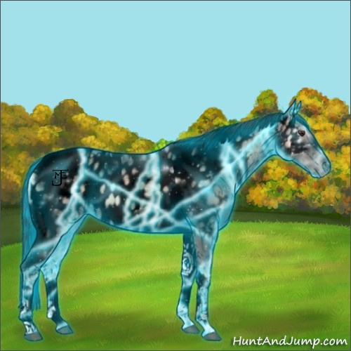 Horse Color:Void Thunderstruck Liver Red Onyx Ice Tobiano Frame Appaloosa 