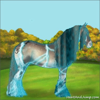 Horse Color:Void Thunderstruck Liver Red Onyx Ice Roan Tobiano Appaloosa 