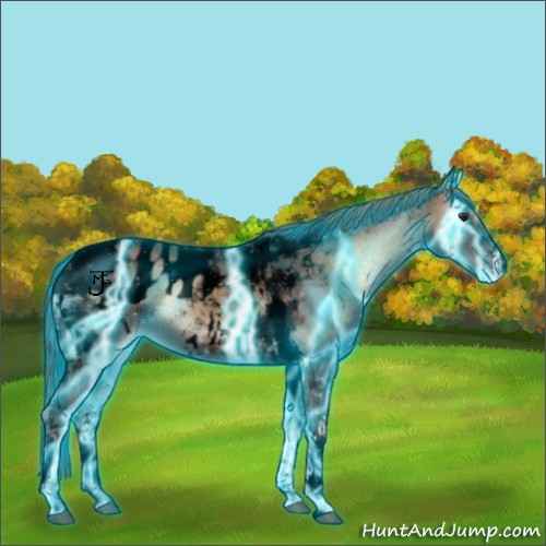 Horse Color:Void Thunderstruck Liver Red Onyx Ice Tobiano Appaloosa 