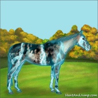 Horse Color:Void Thunderstruck Liver Red Onyx Ice Tobiano Blanket