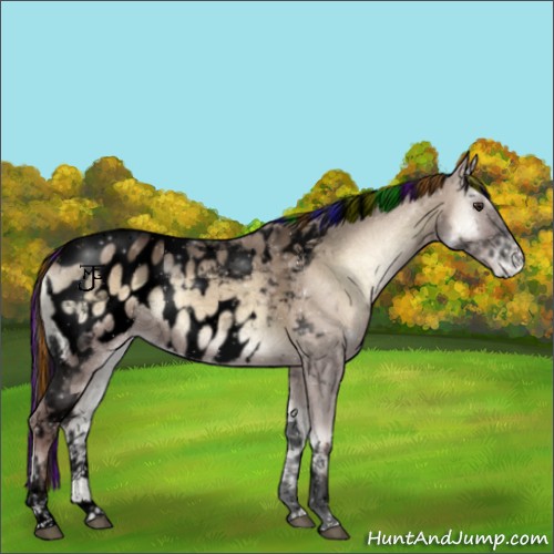 Horse Color:Void Painted Liver Red Dun Ice Onyx Tobiano Appaloosa 