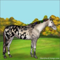 Horse Color:Void Painted Liver Red Dun Ice Onyx Tobiano Appaloosa