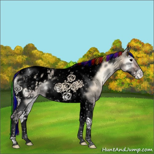 Horse Color:Void Painted Bay Ice Onyx Tobiano Frame Appaloosa Rabicano 