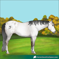 Horse Color:Gray Liver Red Dun Roan Sabino Blanket Rabicano