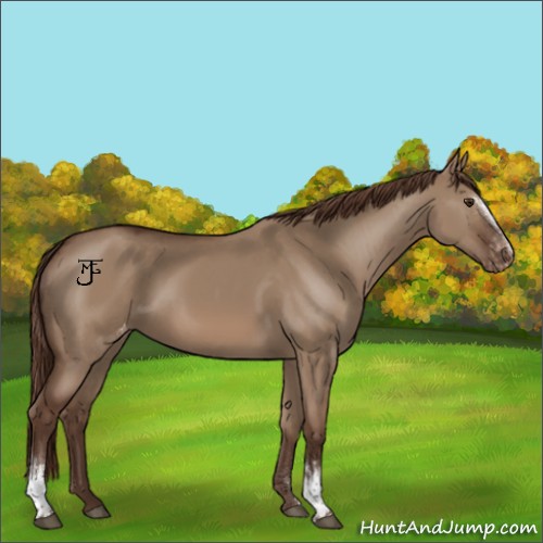 Horse Color:White Spotted Liver Red Dun Varnish Rabicano