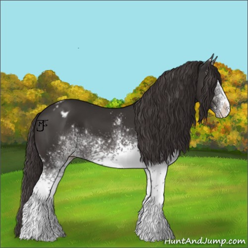 Horse Color:White Spotted Smoky Black Appaloosa 