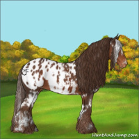 Horse Color:White Spotted Liver Chestnut Blanket 